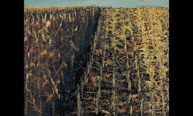 Strniste 2000 120x150 up